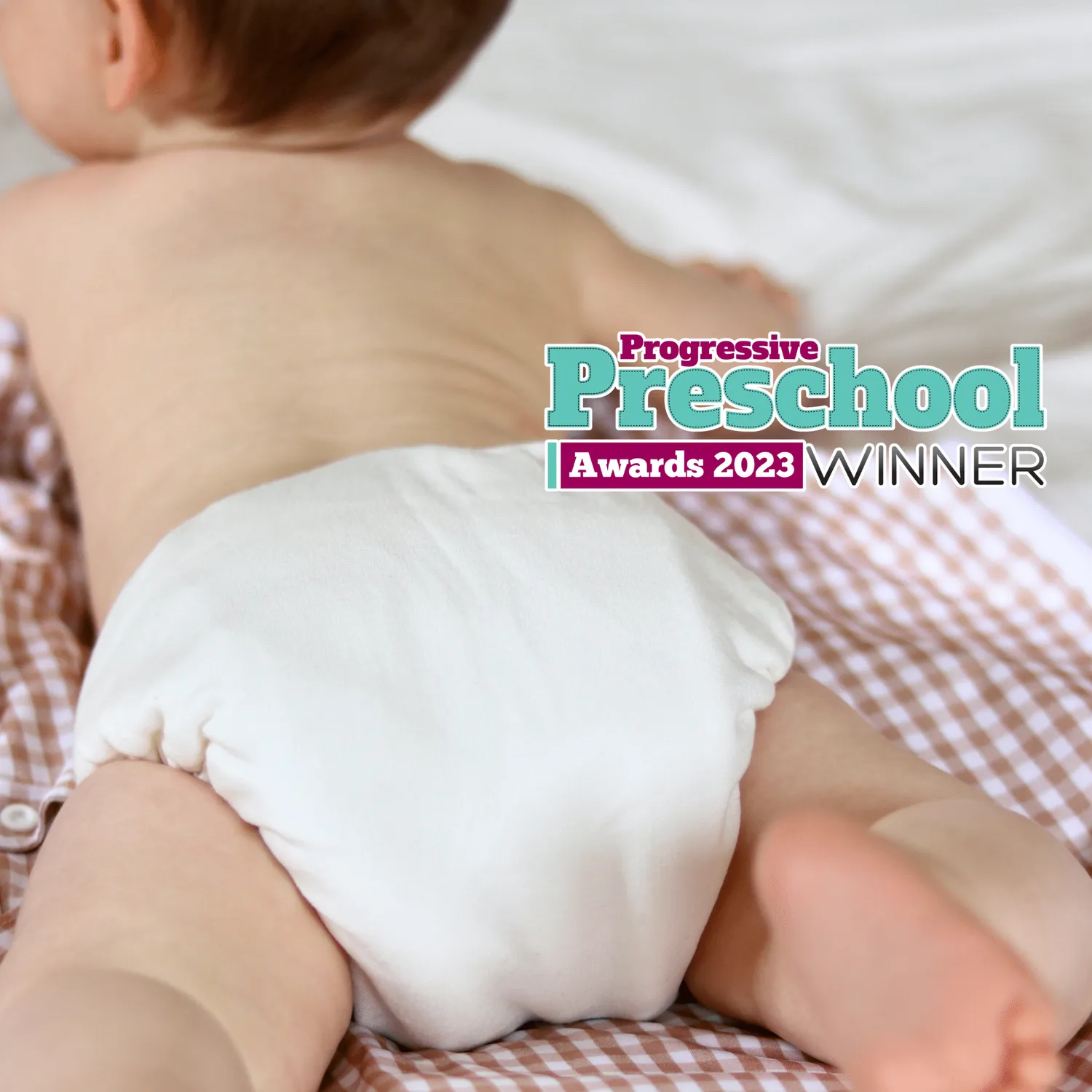 Modern Cloth Nappies Bedtime Pearl nachtluier one size