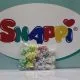 Snappi Nappy Fasteners luierclips maat 1 100 stuks
