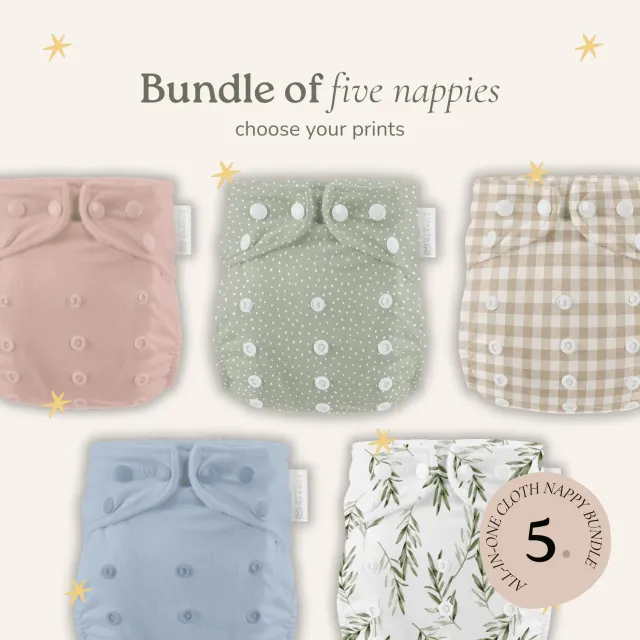 Modern Cloth Nappies one size all-in-one wasbare luiers 5 stuks